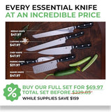 FOXEL Best Bread Knife 10 Inch Serrated - Razor Sharp Rust Resistant Japanese VG10 Steel Knife for - A Kitchen Essential Great for Cutting Bread, Cake, Sourdough, Sandwiches, Bagels, and Hard Crust